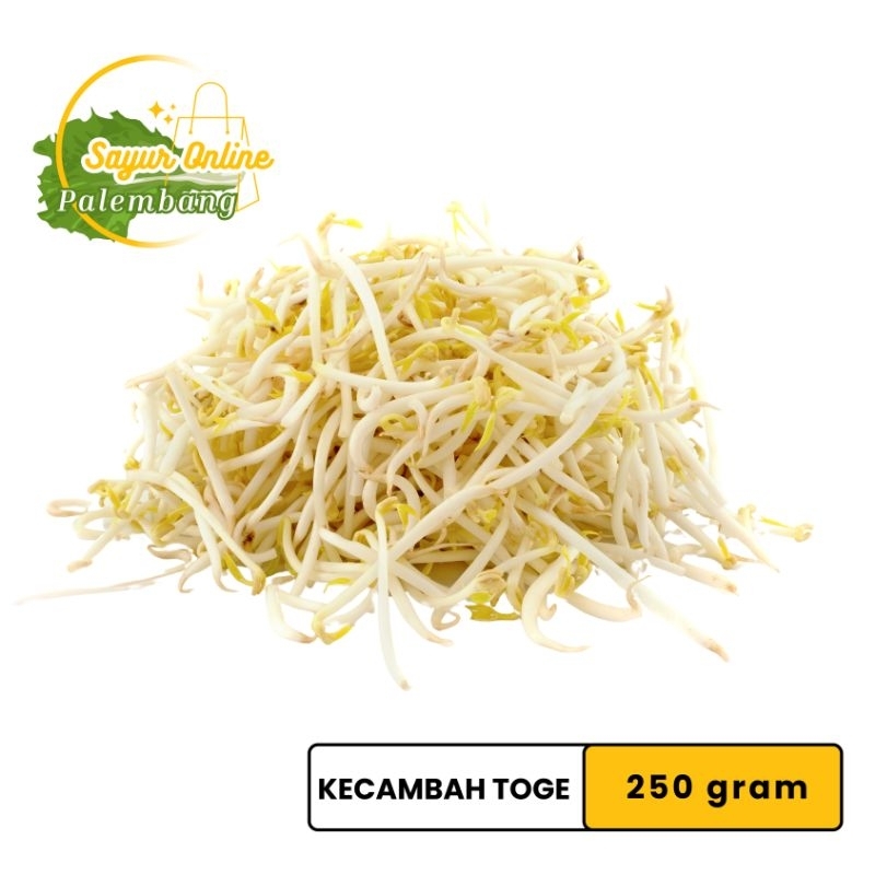 

Kecambah Toge 250 gram - Sayur Online Palembang