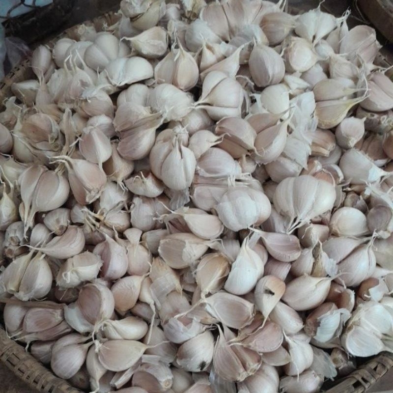 

Bawang putih kating bersih 250 gram