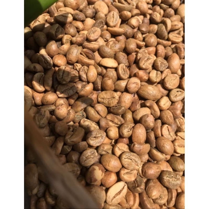 

GREEN BEAN ROBUSTA/ KOPI MENTAH ROBUSTA NGANTANG MALANG 1KG