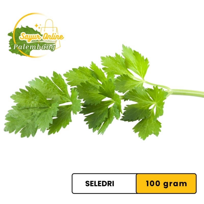 

Seledri 100 gram - Sayur Online Palembang