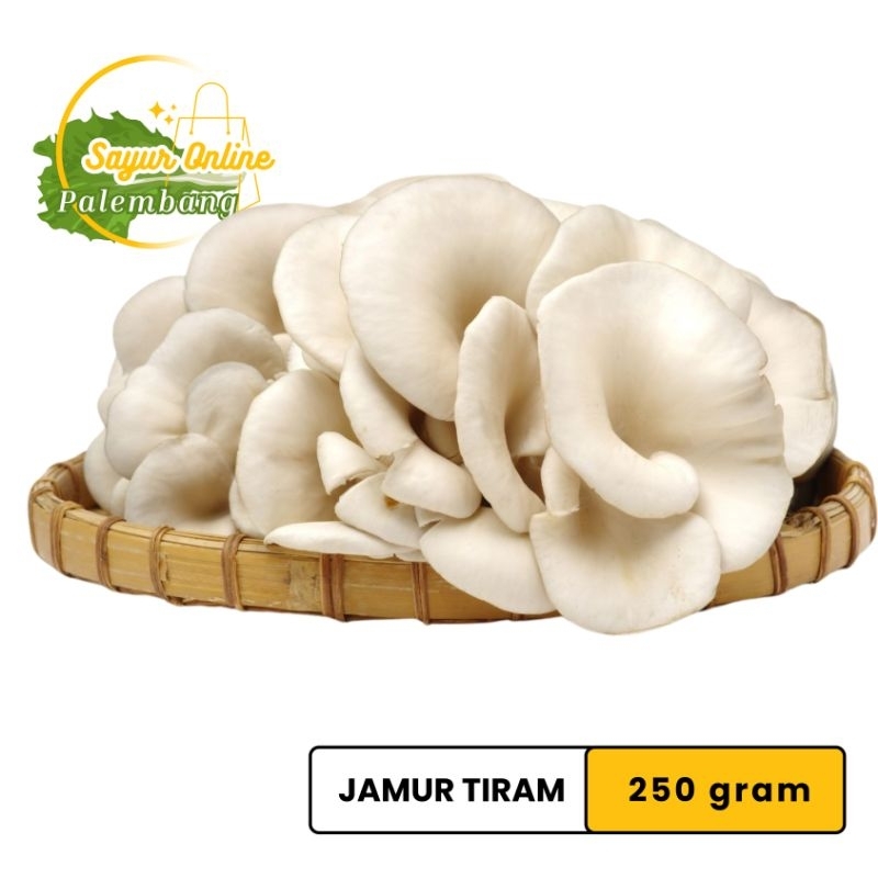 

Jamur Tiram 250 gram - SayurOnlinePalembang
