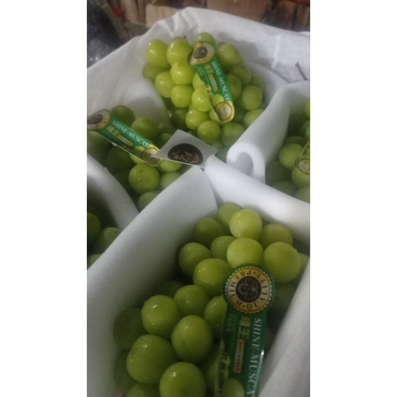 

shine muscat 500gr