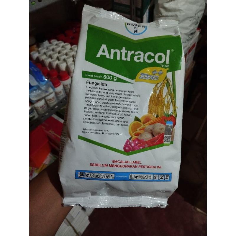 Fungisida Antracol 70 WP 500 Gram