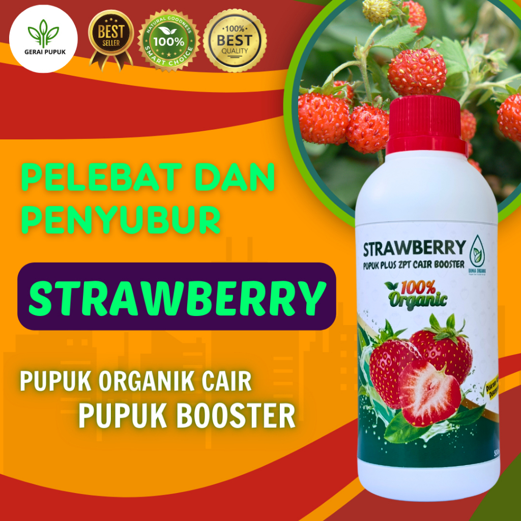 Pupuk Pelebat Buah Strawberry Pupuk Penyubur Buah Strawberry Pupuk Strawberry Organik Cair Asli