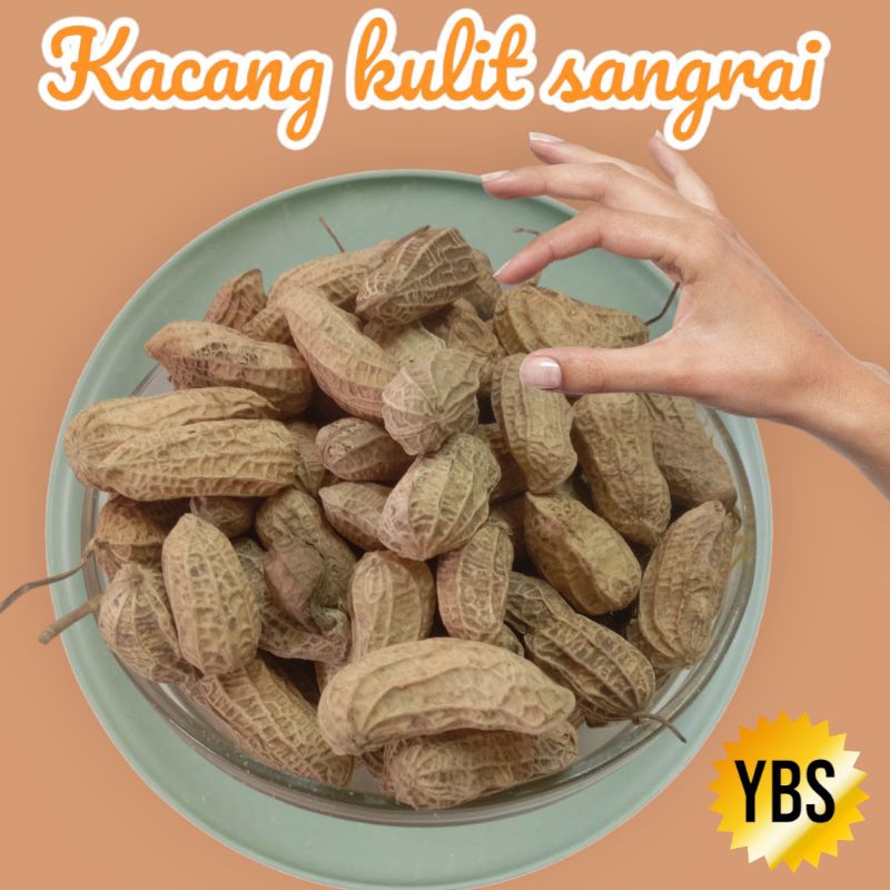 

Kacang kulit sangrai/kacang kulit goreng/kacang kulit gurih/500gr