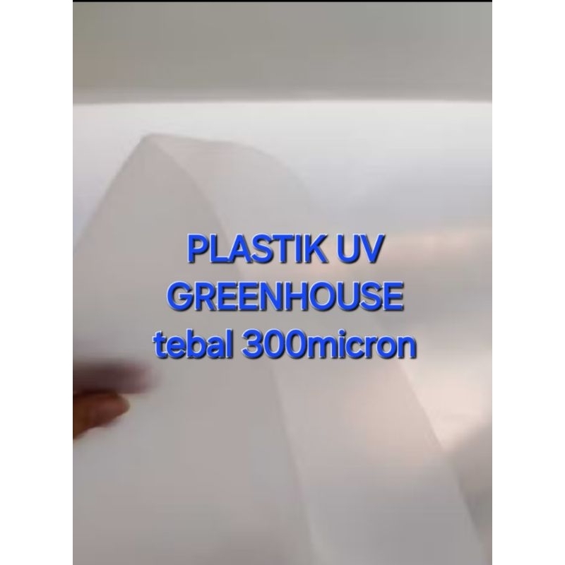 PLASTIK UV//GREENHOUSE ORI TEBAL 300micron