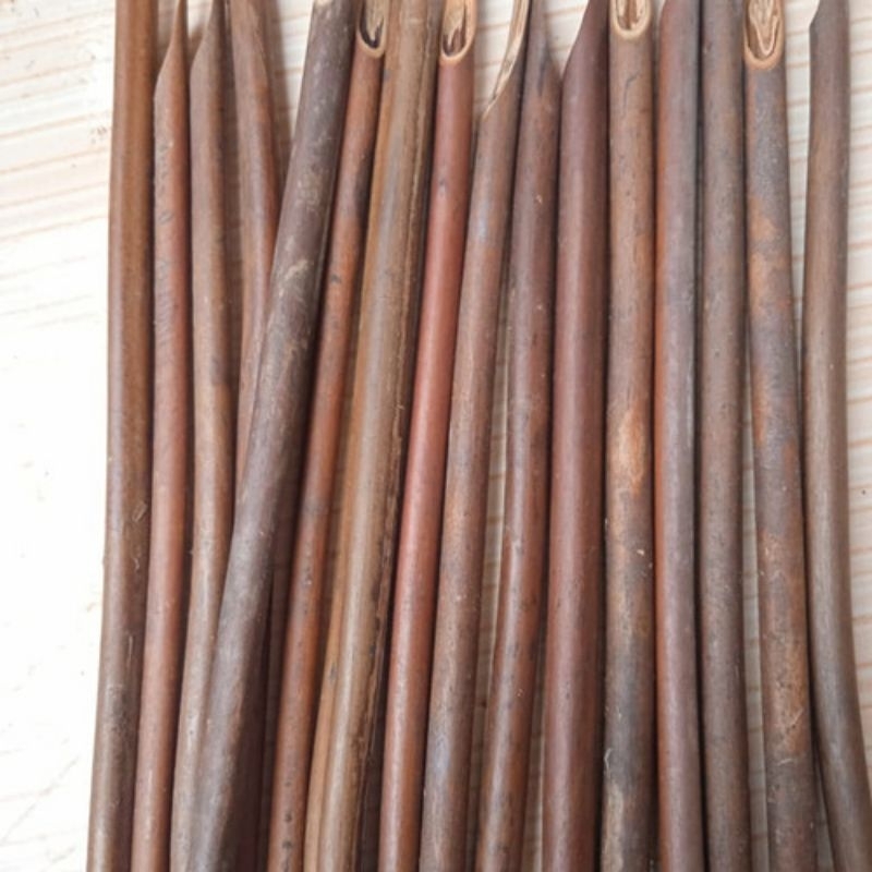 

batang paku andam/Anam,kayu resam pena handam anam