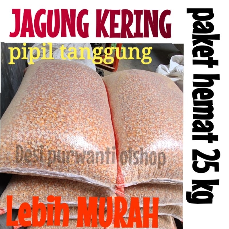 

JAGUNG KERING PIPIL ( SEDANG / TANGGUNG ) KEMASAN 25 KG