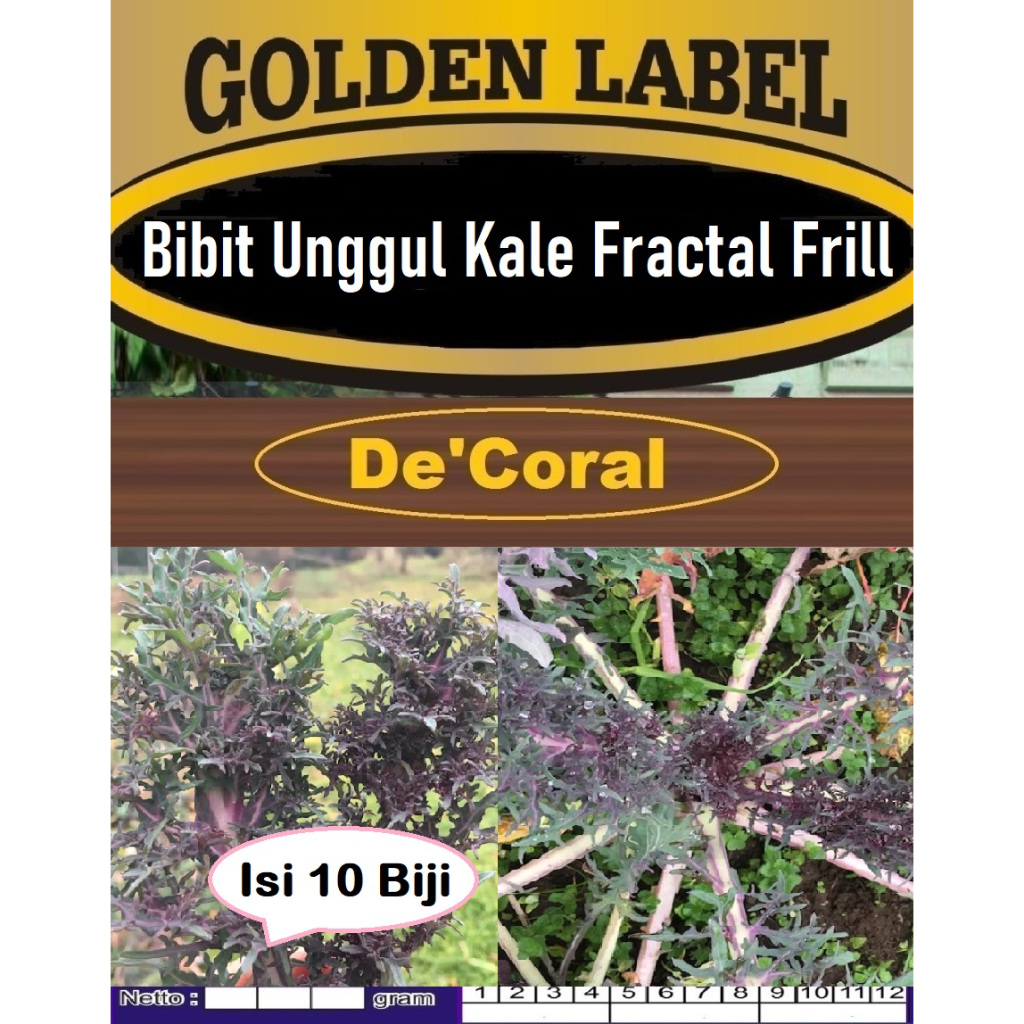 Bibit Unggul Kale Fractal Frills | Biji Benih Kale Fractal Frills | Bibit Sayur Kale