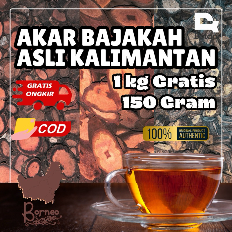 

Akar Bajakah Asli Kalimantan 1 Kg gratis 150 gram