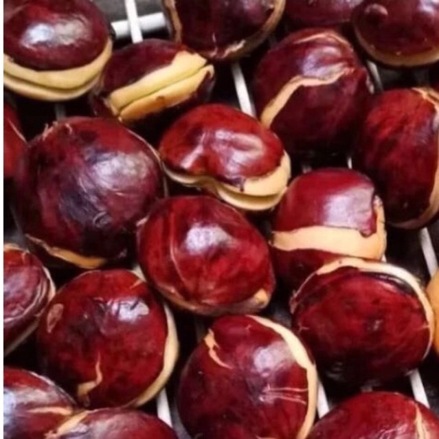 

Jengkol Tua Mentah 1 Kg