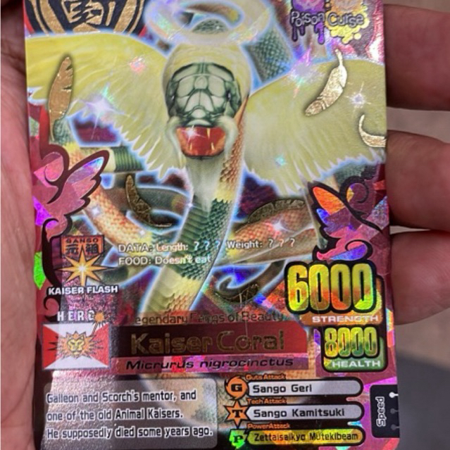 AnimalKaiser (Kaiser Coral)