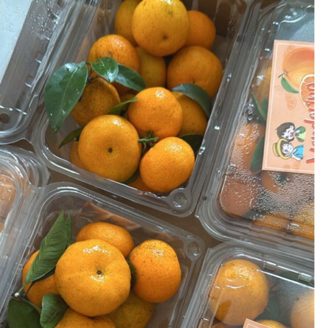 

jeruk santang manis 1 pack