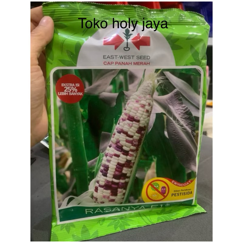 Benih jagung RASANYA F1 1800 butir jagung putih merah pulut manis dari panah merah