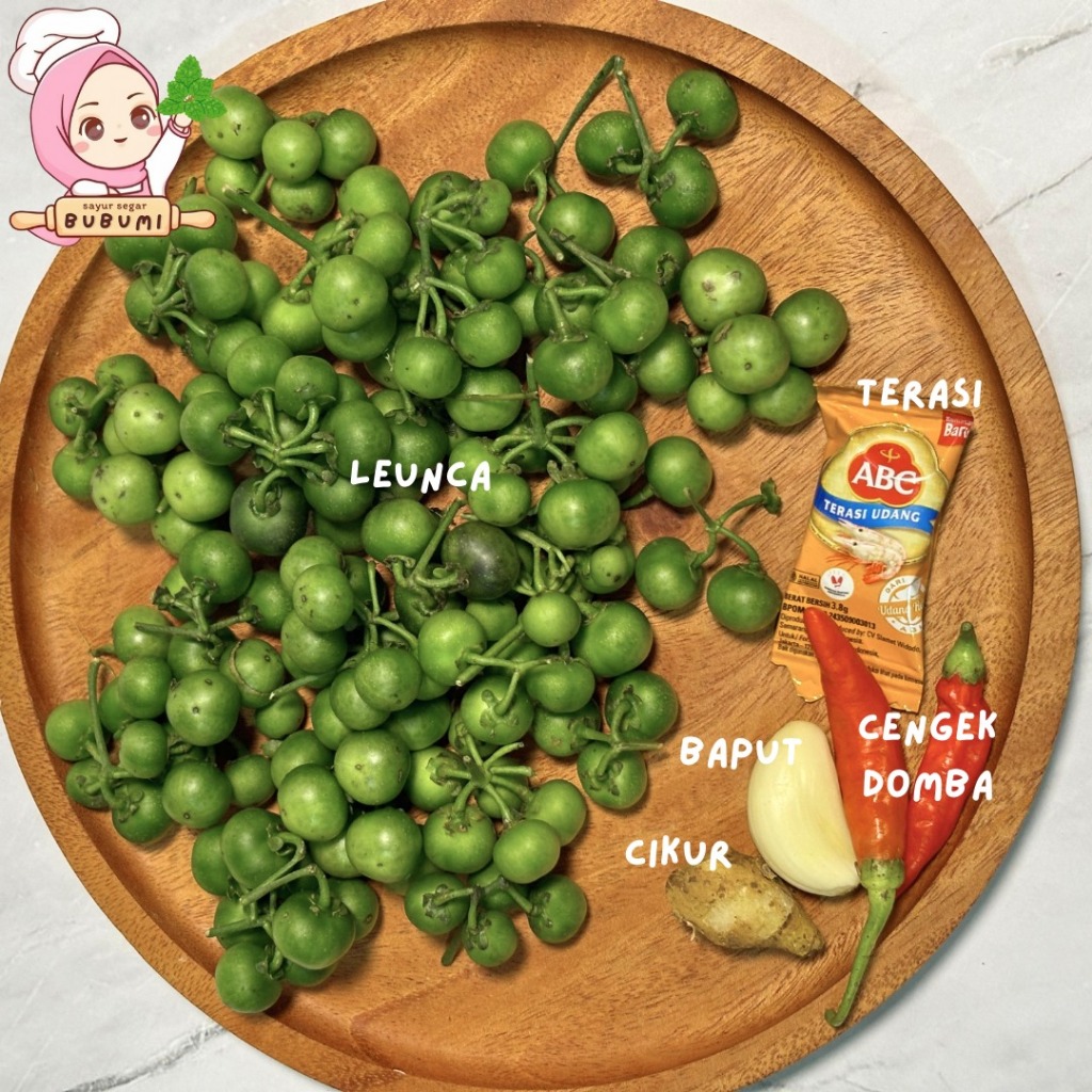 

Paket Karedok Leunca Siap Makan /Sayur Pack Siap Masak