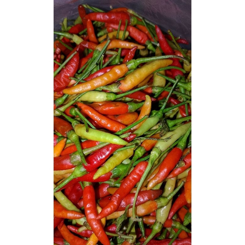 

CABE RAWIT MERAH / SAYUR SEGAR / mracang fresh mart