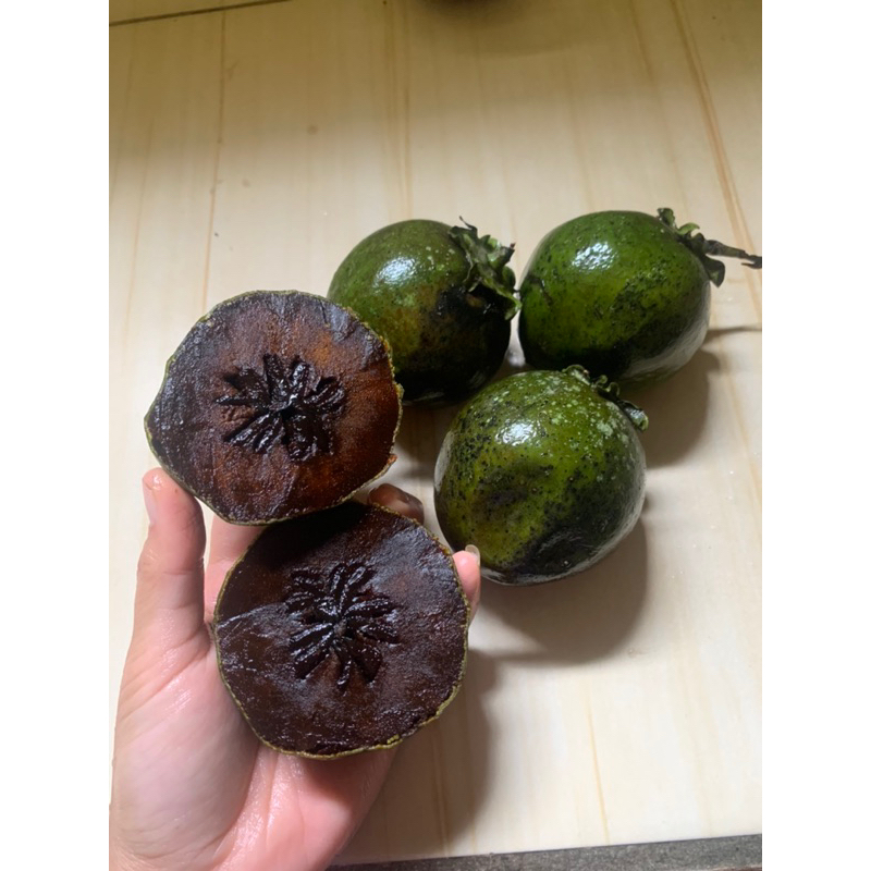 

buah black sapote