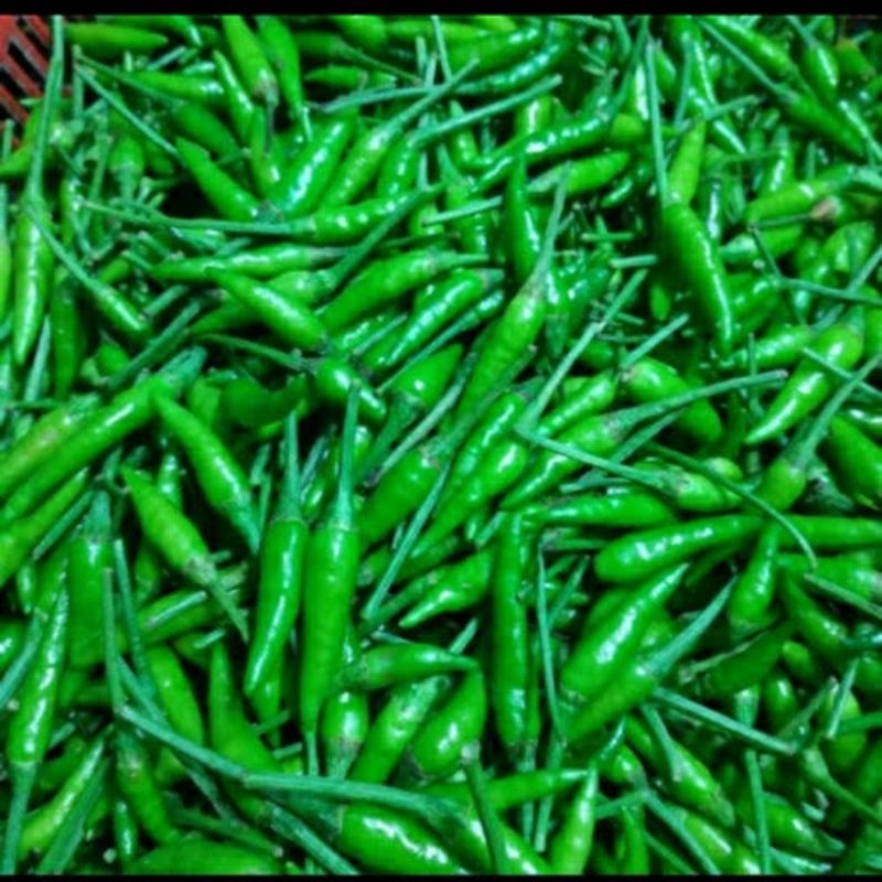 

rawit hijau caplak 100gr