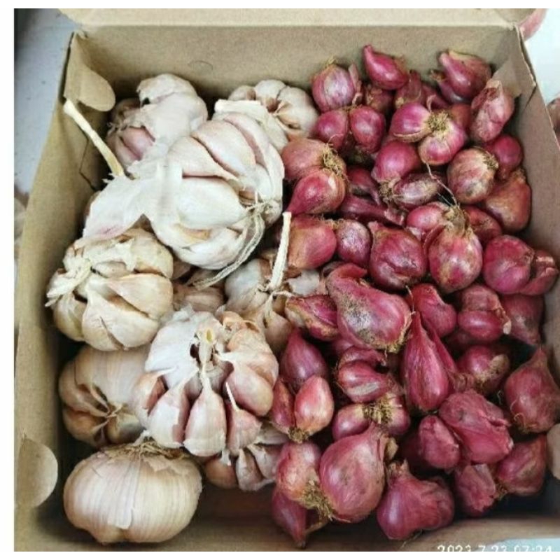 

Paket bawang Merah+putih 500g