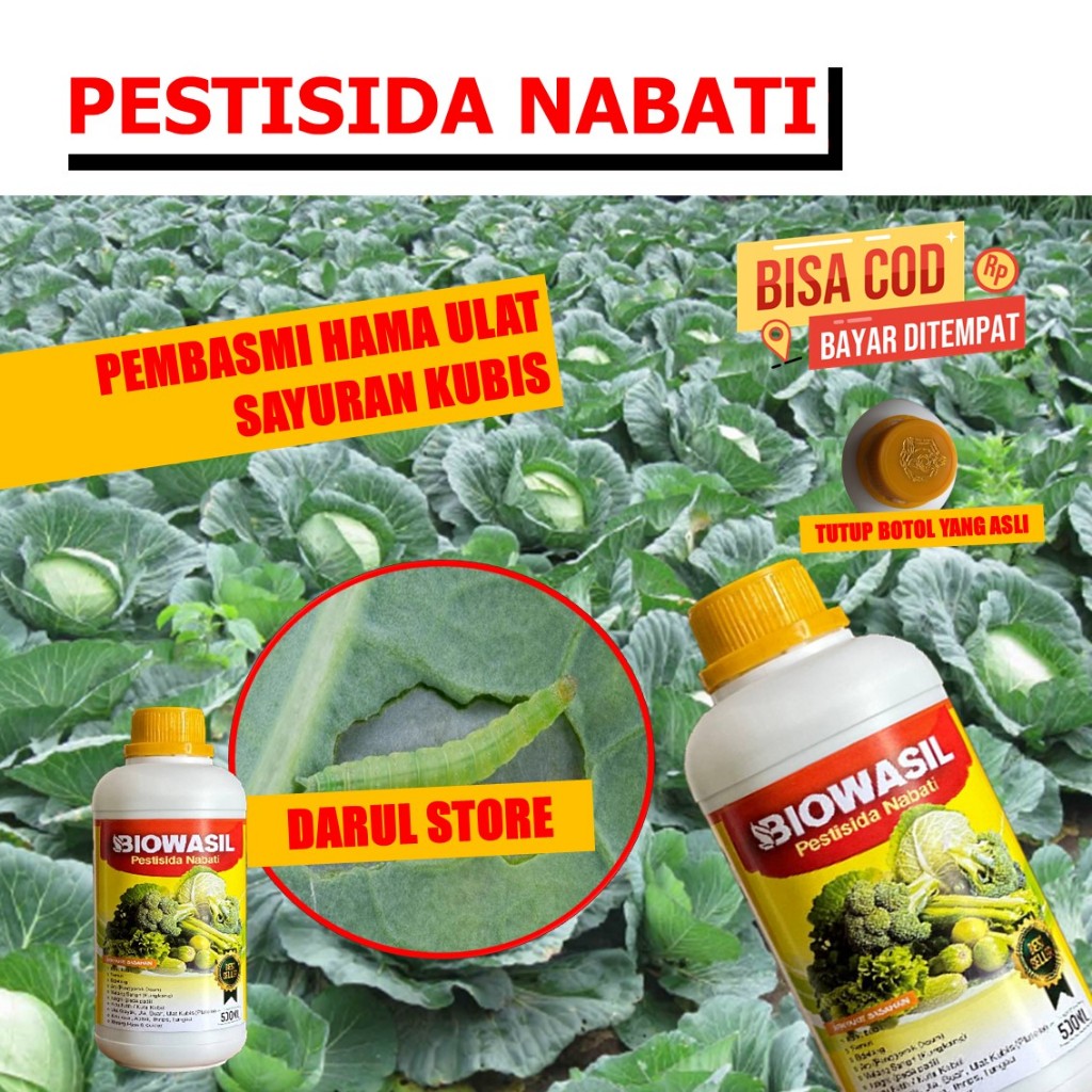 BAYAR DI RUMAH PESTISIDA BIOWASIL untuk Hama Tanaman Kubis Paling Laris Obat Cair Meyuburkan Buah Ku