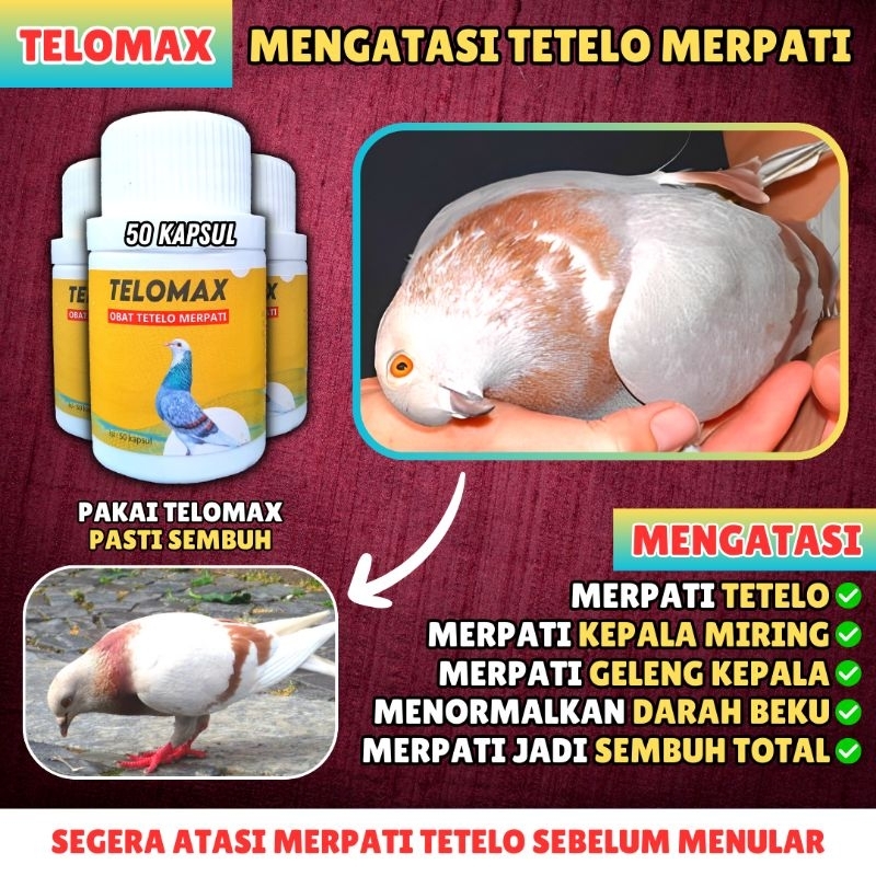 TELOMAX Obat Tetelo Merpati
