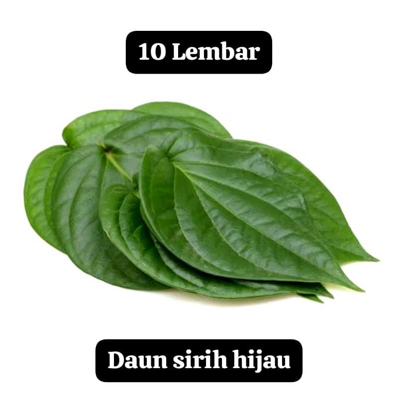 

PROMO DAUN SIRIH HIJAU SEGAR harga 10 lembar