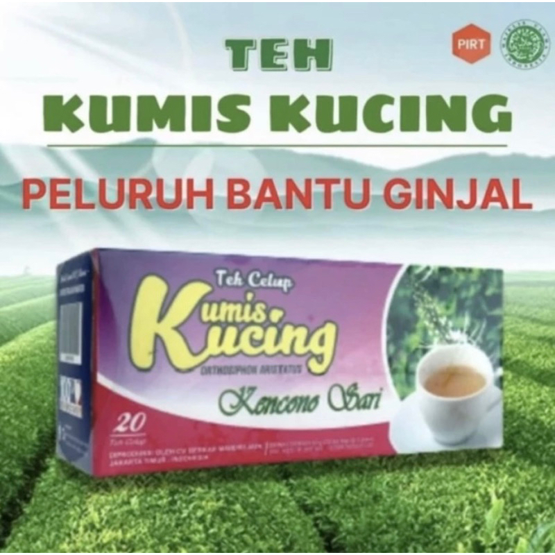

teh kuncoro kumis kucing untuk batu ginjal