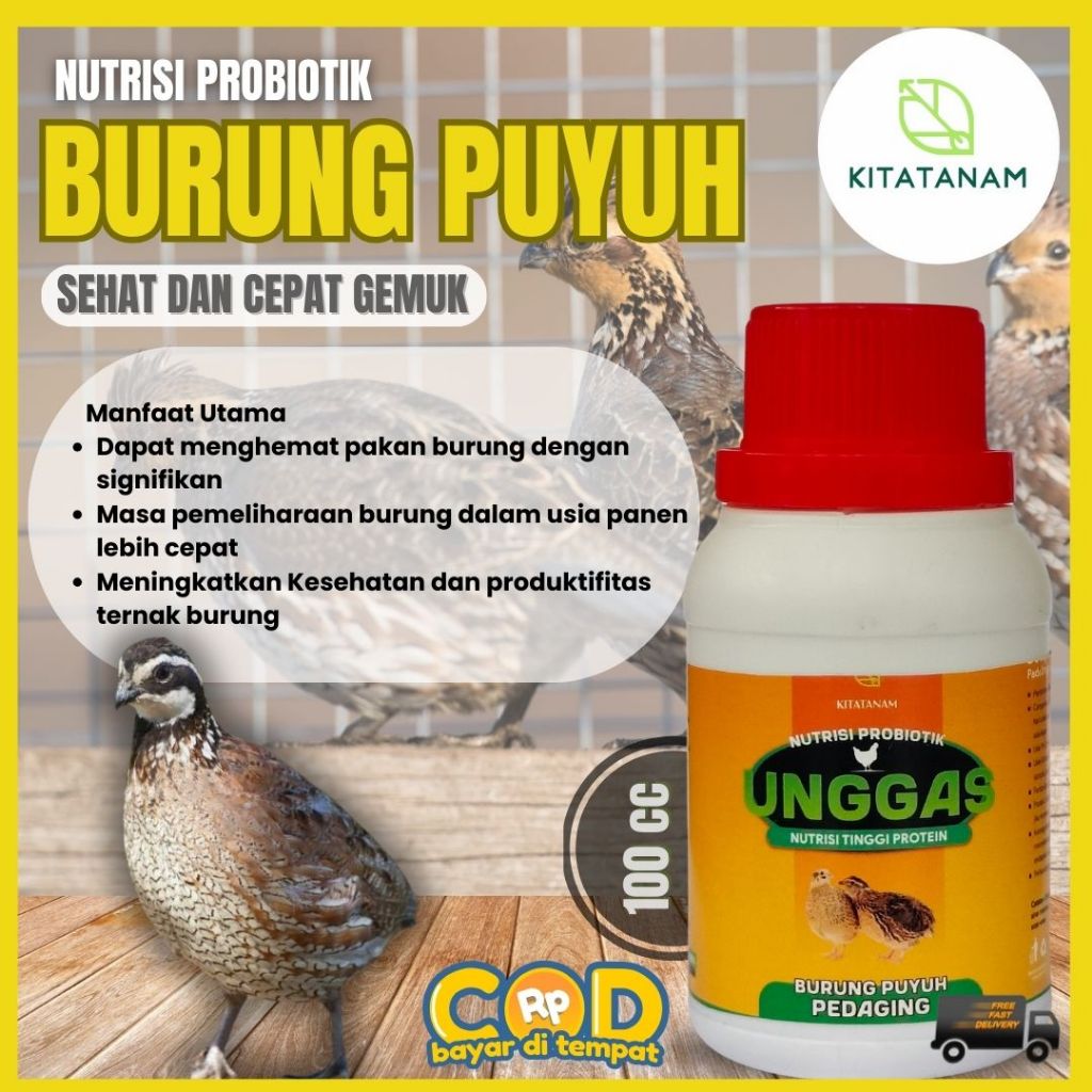 Vitamin Burung Puyuh, Obat Burung Puyuh, Vitamin Penggemuk Burung Puyuh, Kitatanam