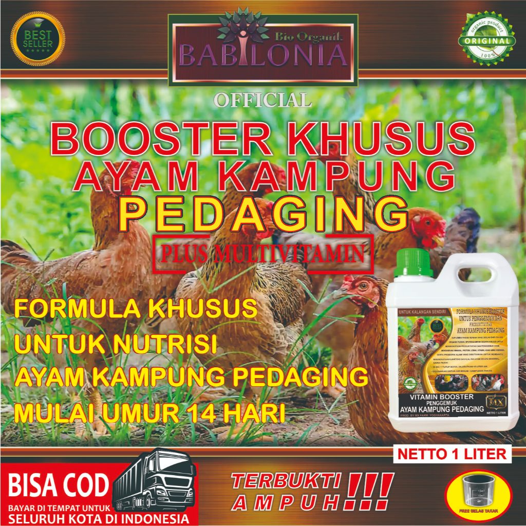VITAMIN BOOSTER PEMBESARAN AYAM KAMPUNG PEDAGING/ BOOSTER KHUSUS AYAM KAMPUNG PEDAGING 1 LITER.