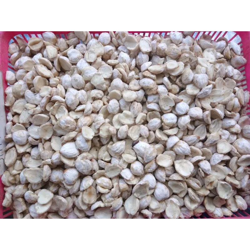 

KEMIRI BUMBU MASAK REMPAH REMPAH FRESH BARANG BARU
