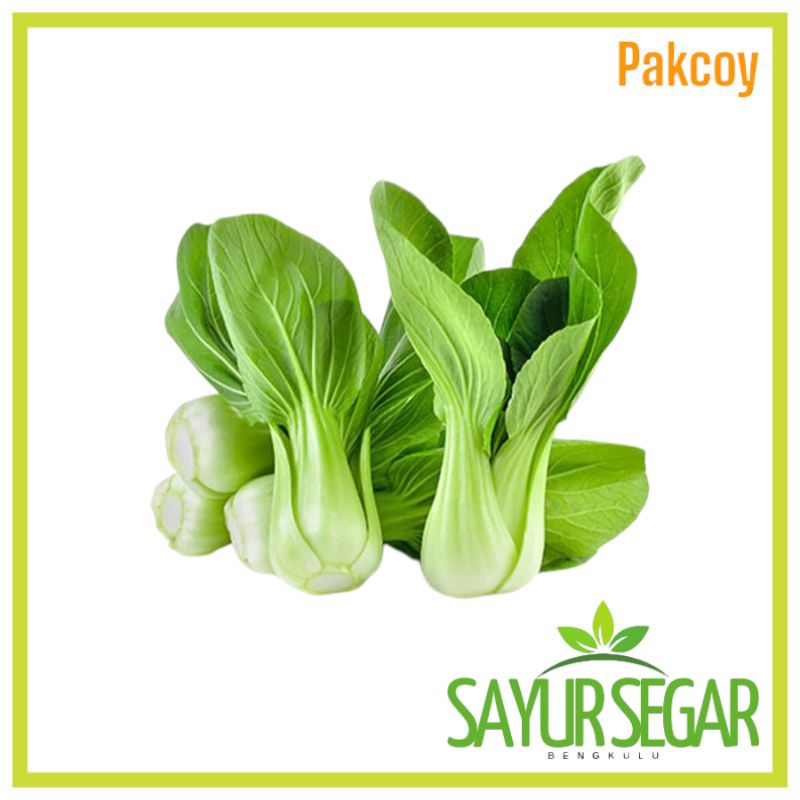 

Sayur Sawi Pakcoy