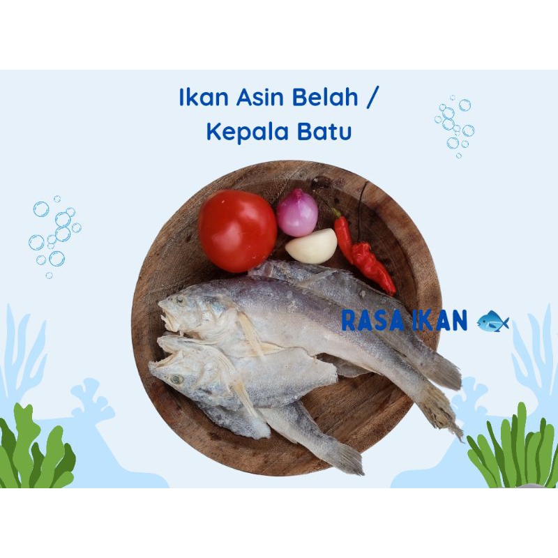 

Ikan Asin Belah 1 Kg / Gerabah / Ikan Asin Samge / Ikan Asin Kepala Batu