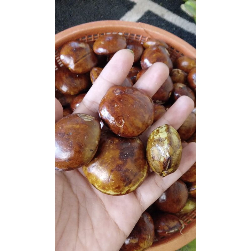 

jengkol tua fresh wonogiri 500gram