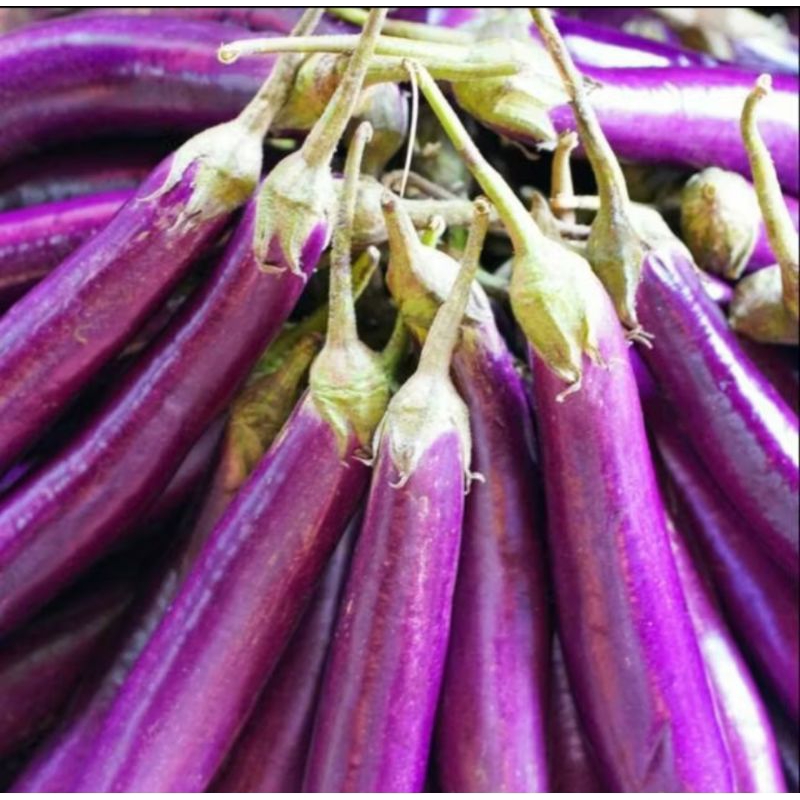 

jual terong ungu/500g