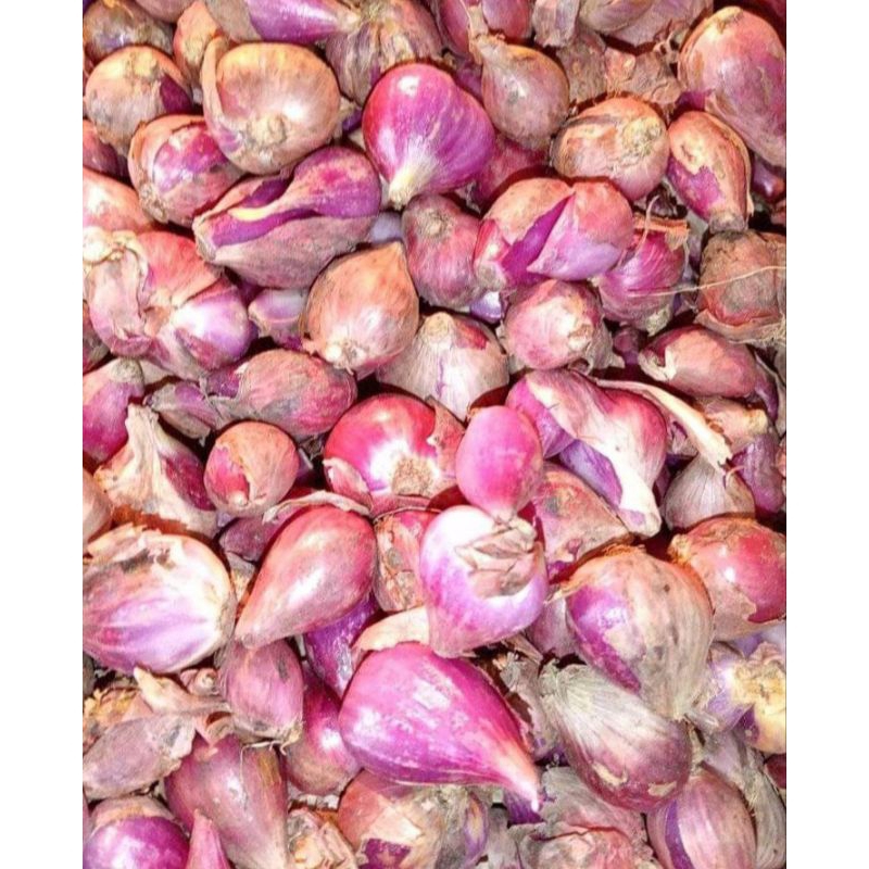 

Bawang merah Brebes ukuran besar 500gr