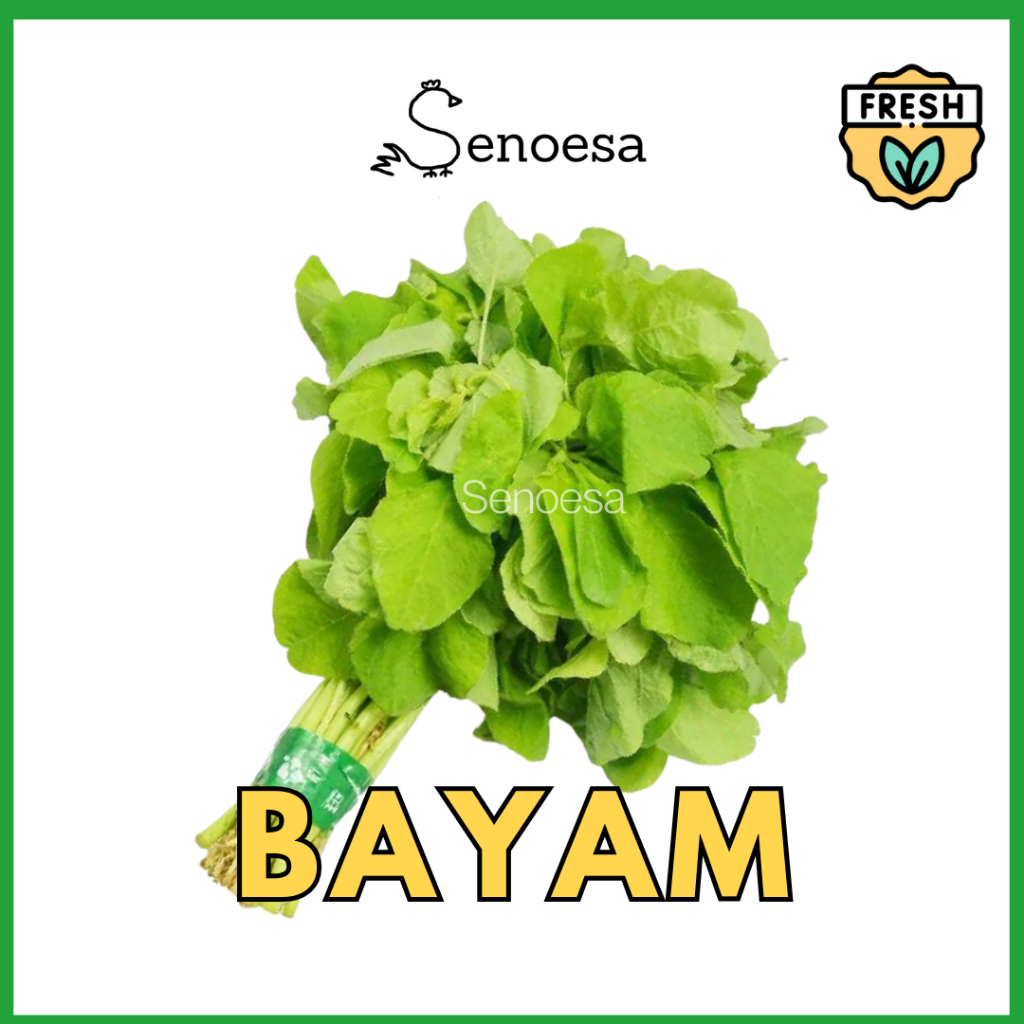 

(FRESH INSTAN) Bayam 1 Ikat
