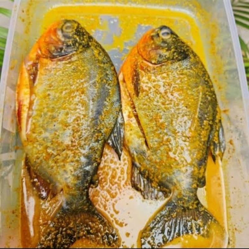 

ikan bawal bumbu kuning 500gr