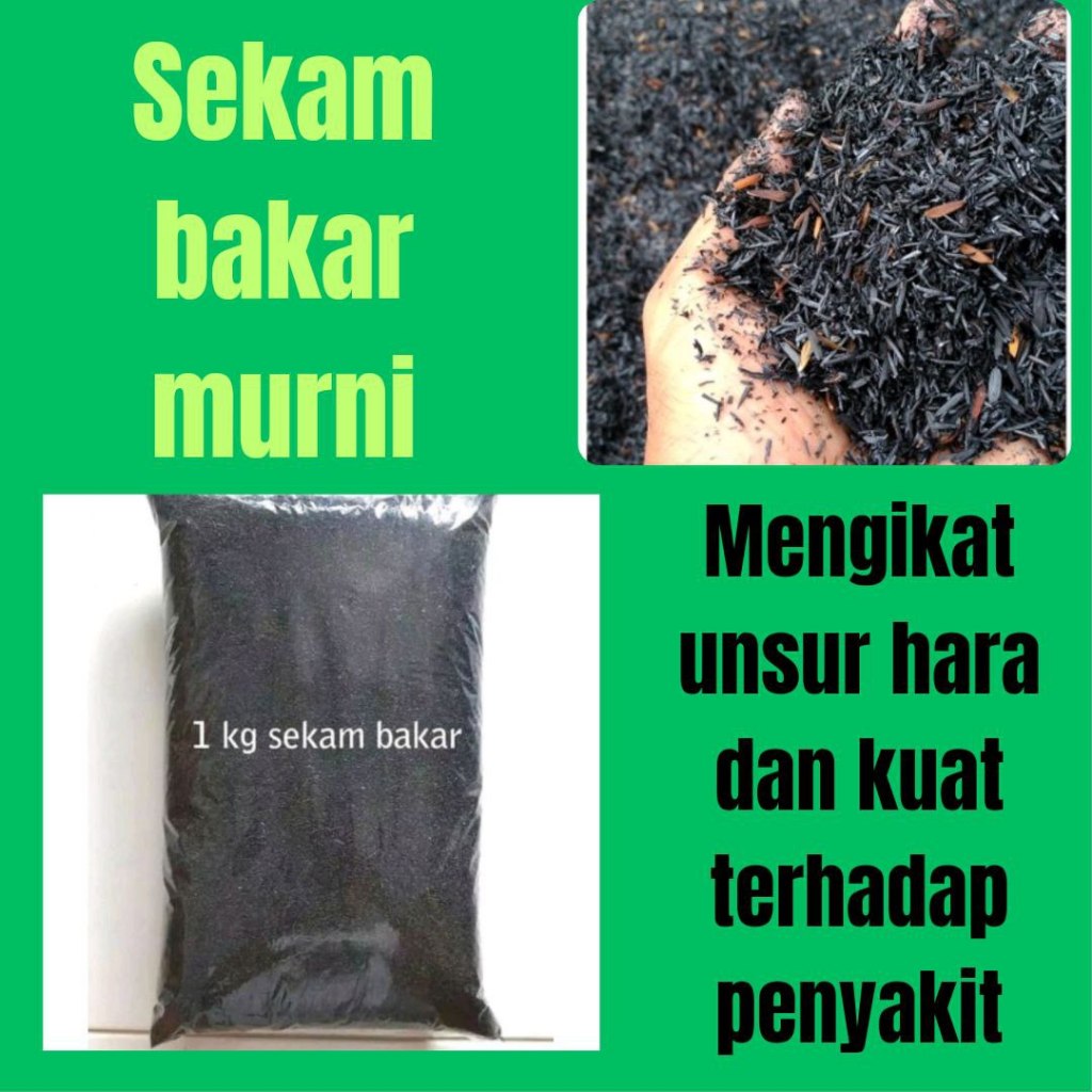 JAMIN ASLI.. Sekam Bakar, Sekam Bakar Murni 1kg