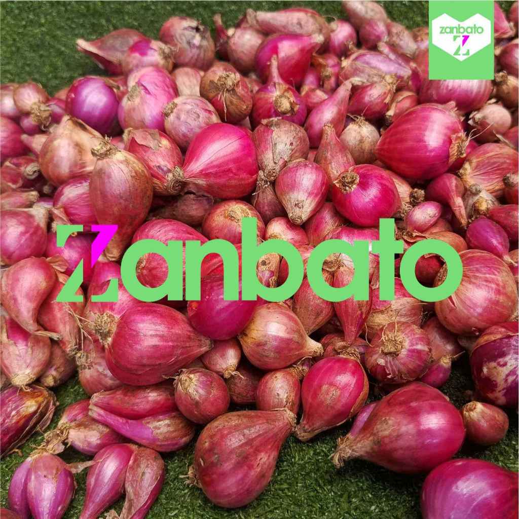 

Bawang Merah Berebes Sedang 1kg