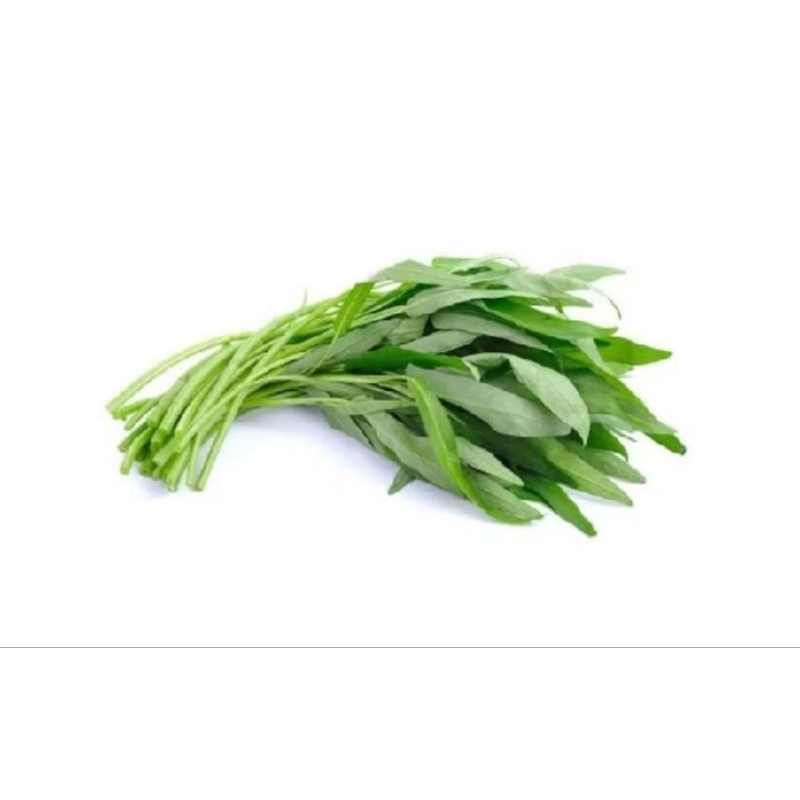 

Kangkung Fres 1 ikat