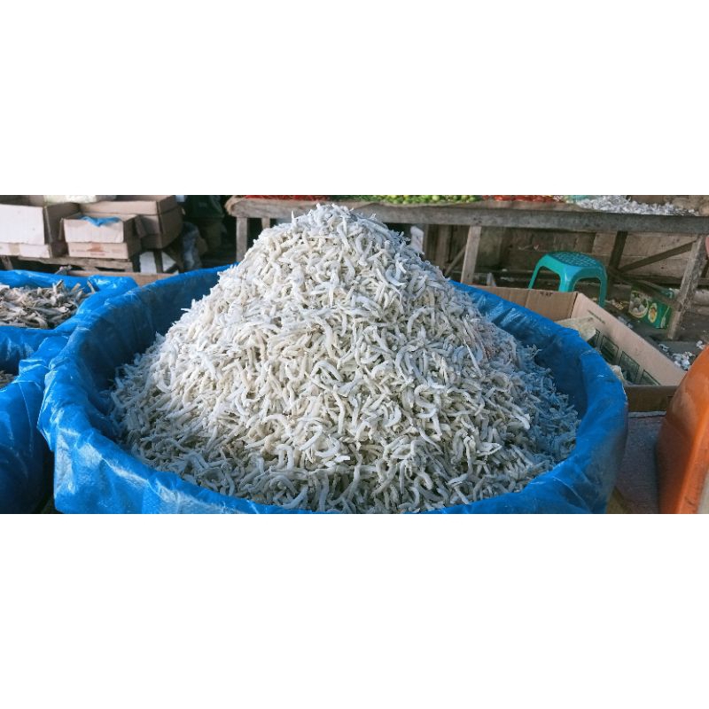 

ikan teri Medan 500g