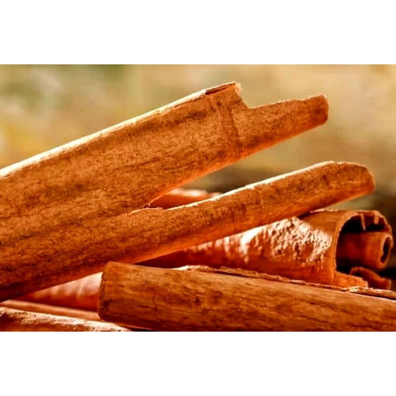 

ORIGINAL KAYU MANIS KENINGAR TERMURAH ASLI