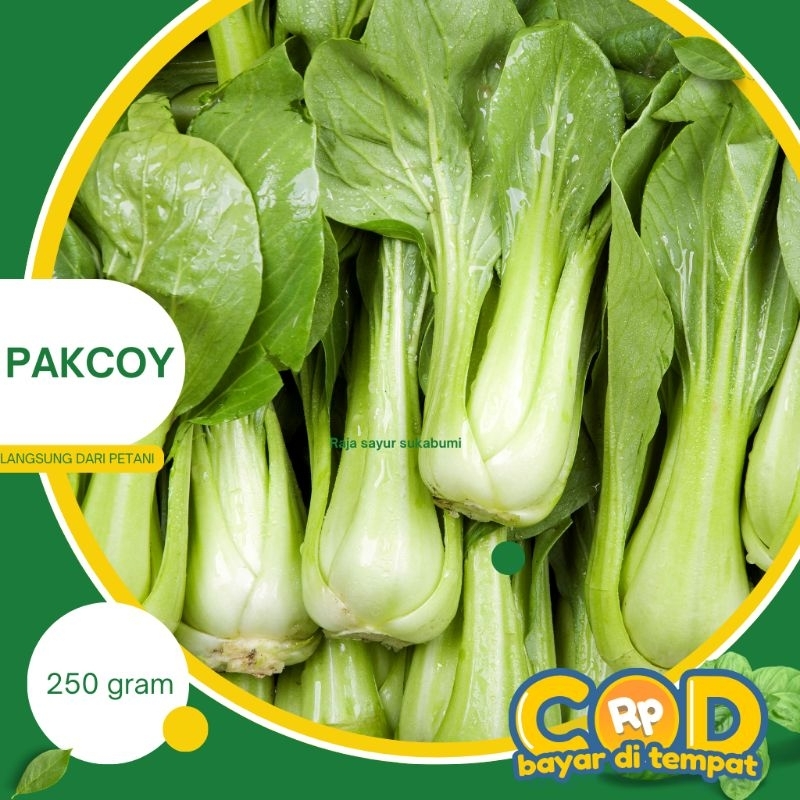 

pakcoy 250gr bokcoy