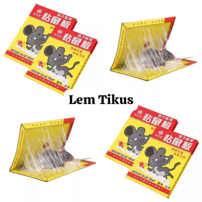 

Lem Tikus