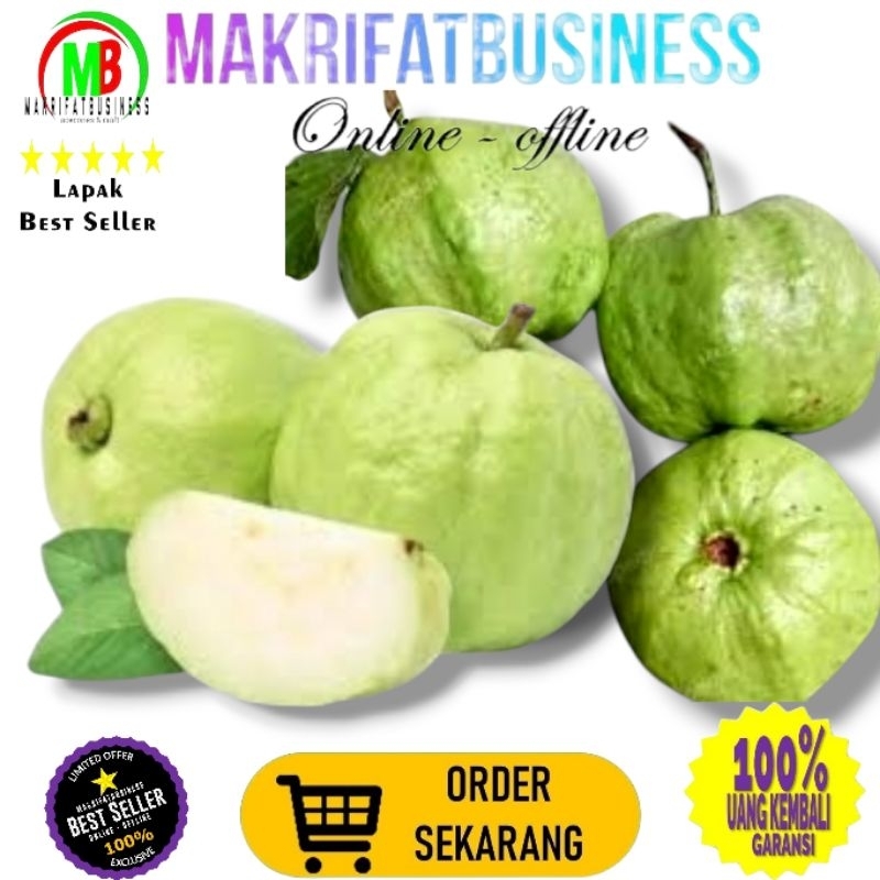 

MAKRIFATBUSINESS Paket 5 Kg Buah Jambu Kristal Putih Non Biji Fresh Langsung Petik Kebun Saat Order