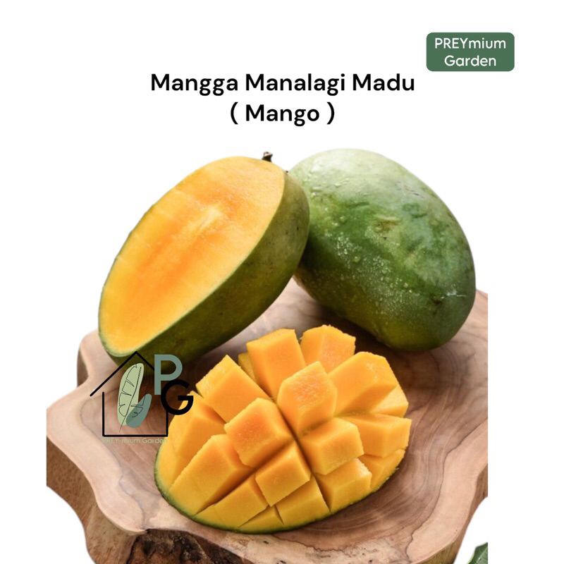 

-PG- Mangga Manalagi madu / Mango by Preymium garden