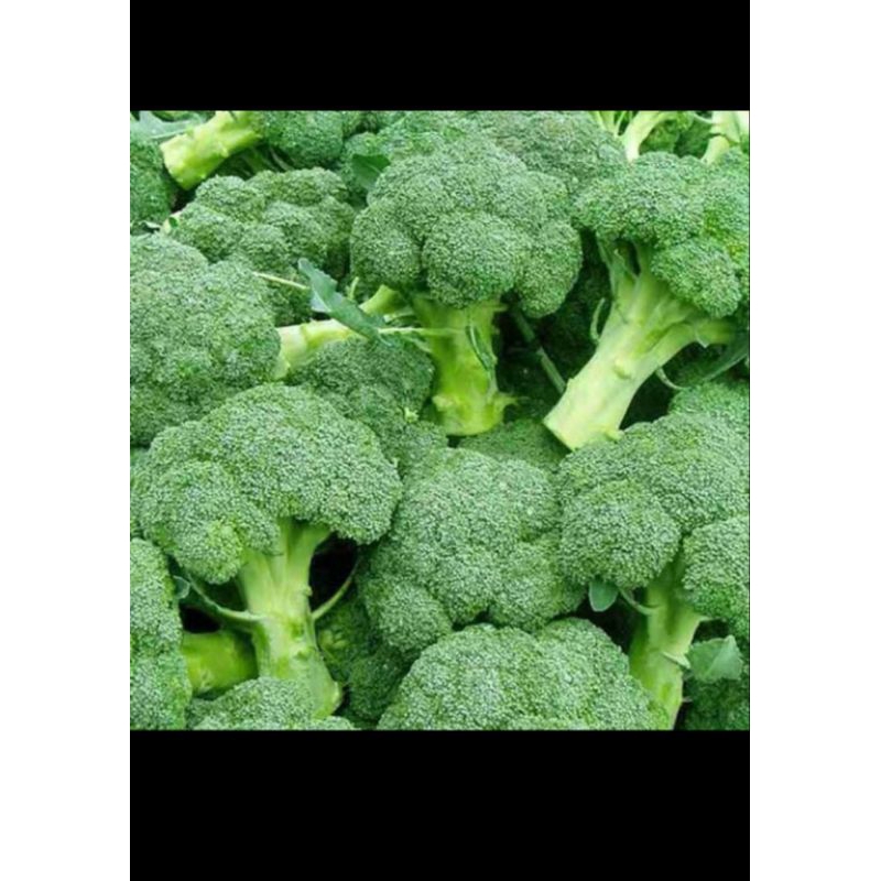 

Brokoli 500 gr