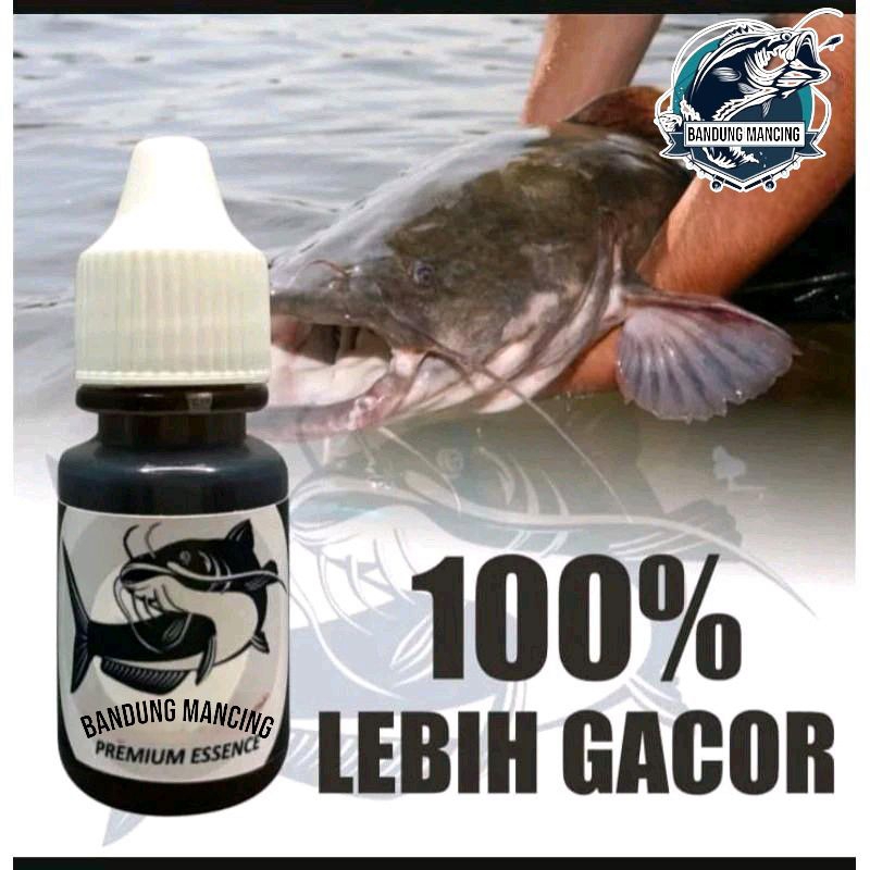 Essen ikan lele 30 ml essen ikan lele khusu induk galatama essen galatama lele paling gacor essen ga