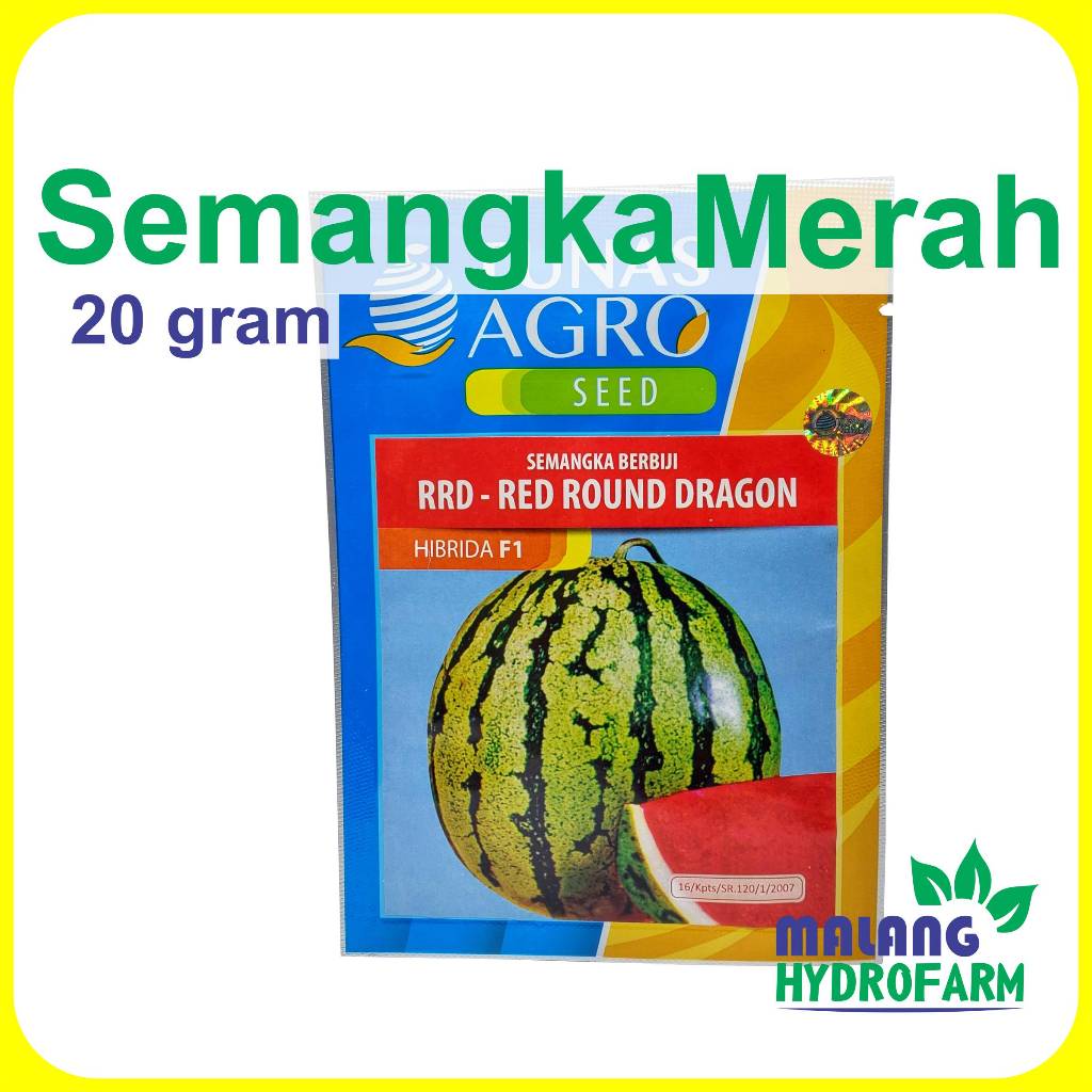 Benih Semangka Merah Rrd Red Round Dragon F1 20 Gram Tunas Agro Bibit Biji Unggul Buah Bulat Bali