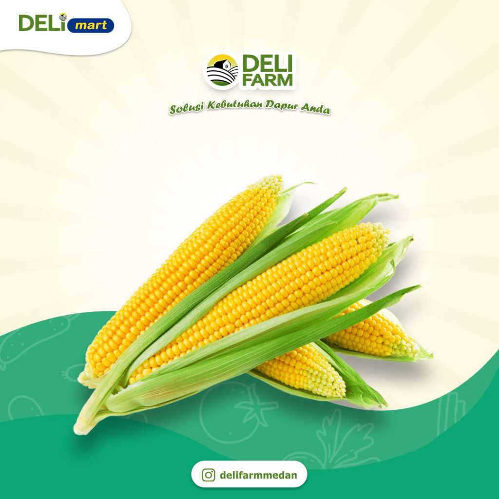 

Deli Mart [Khusus INSTAN Medan] Jagung Manis Fresh by Deli Farm